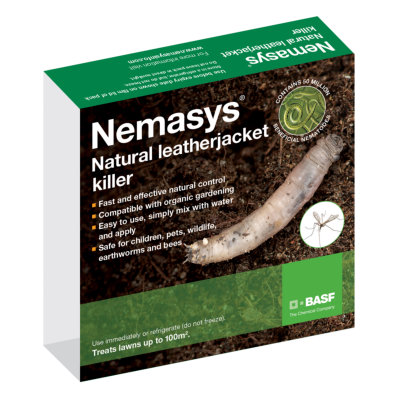 Nemasys Leatherjacket Killer Nematodes
